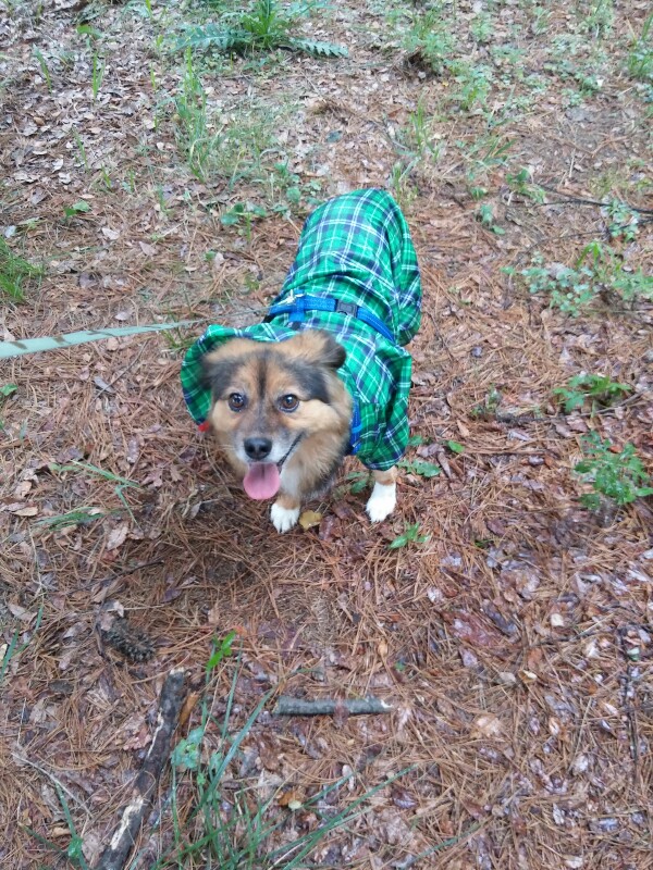 우리집 사랑둥이 정왕이~♡