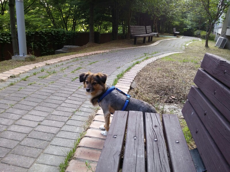 우리집 사랑둥이 정왕이~♡