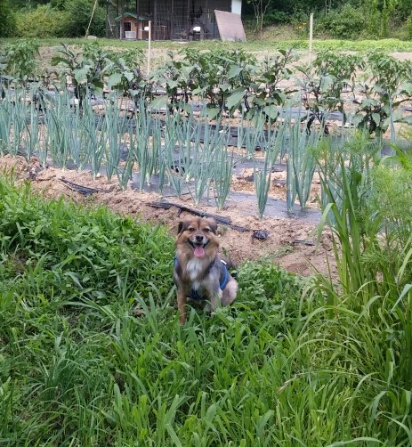 우리집 사랑둥이 정왕이~♡