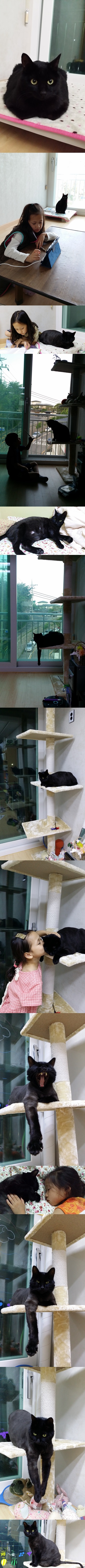 올블랙 야옹이 이야후