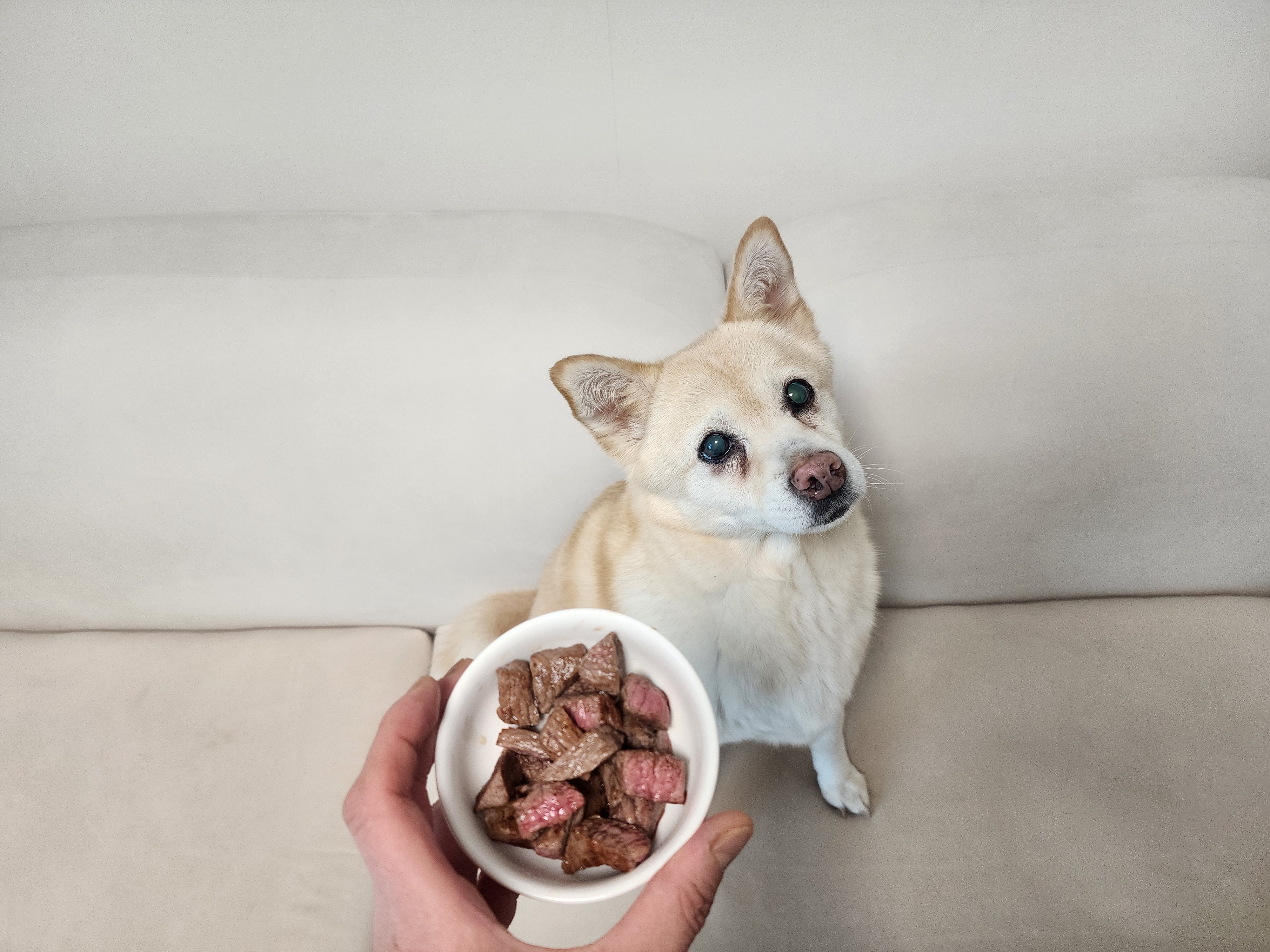 해피추석! 오랜만에 레이입니다:)