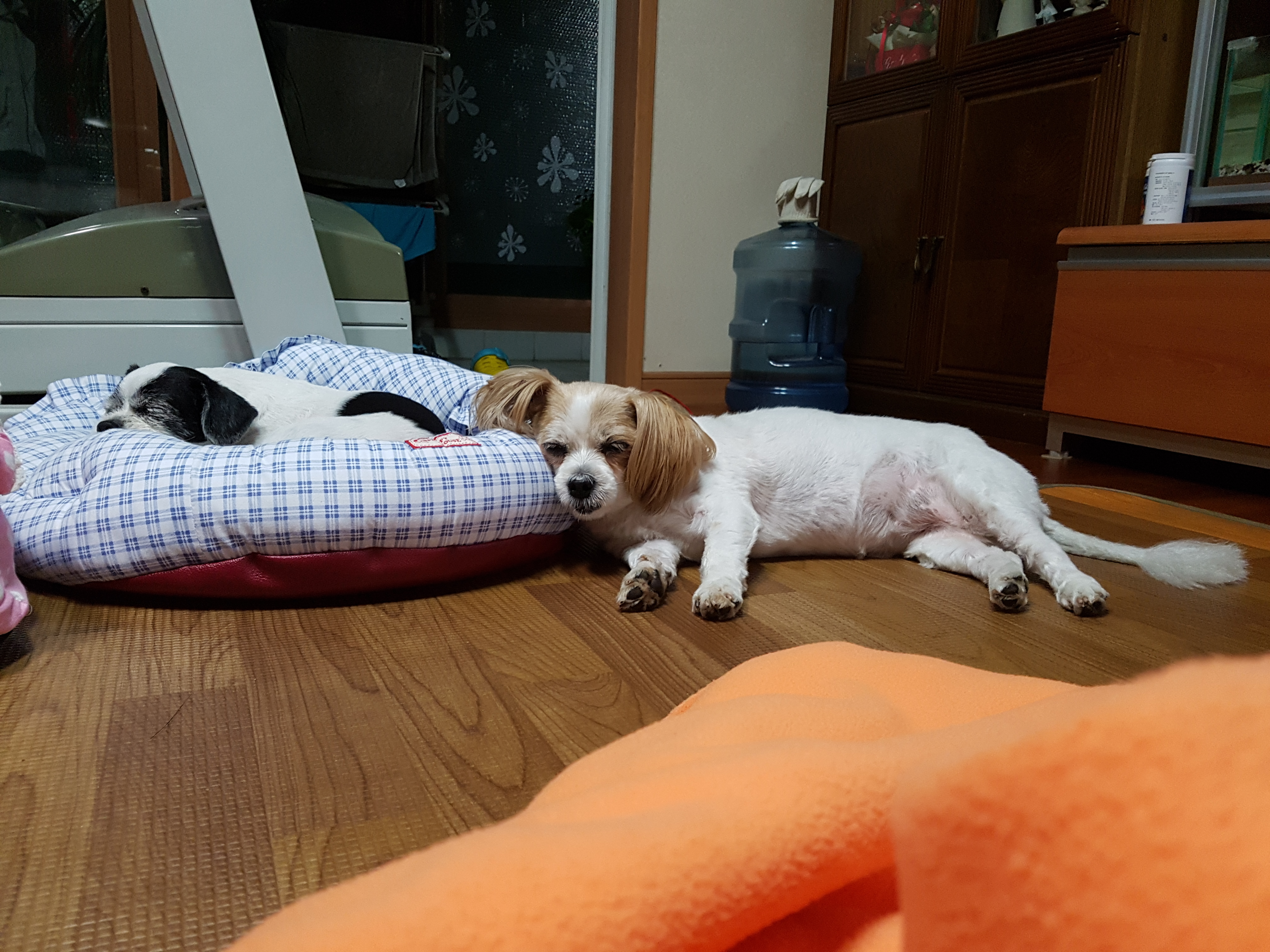 모야 후기남겨요~