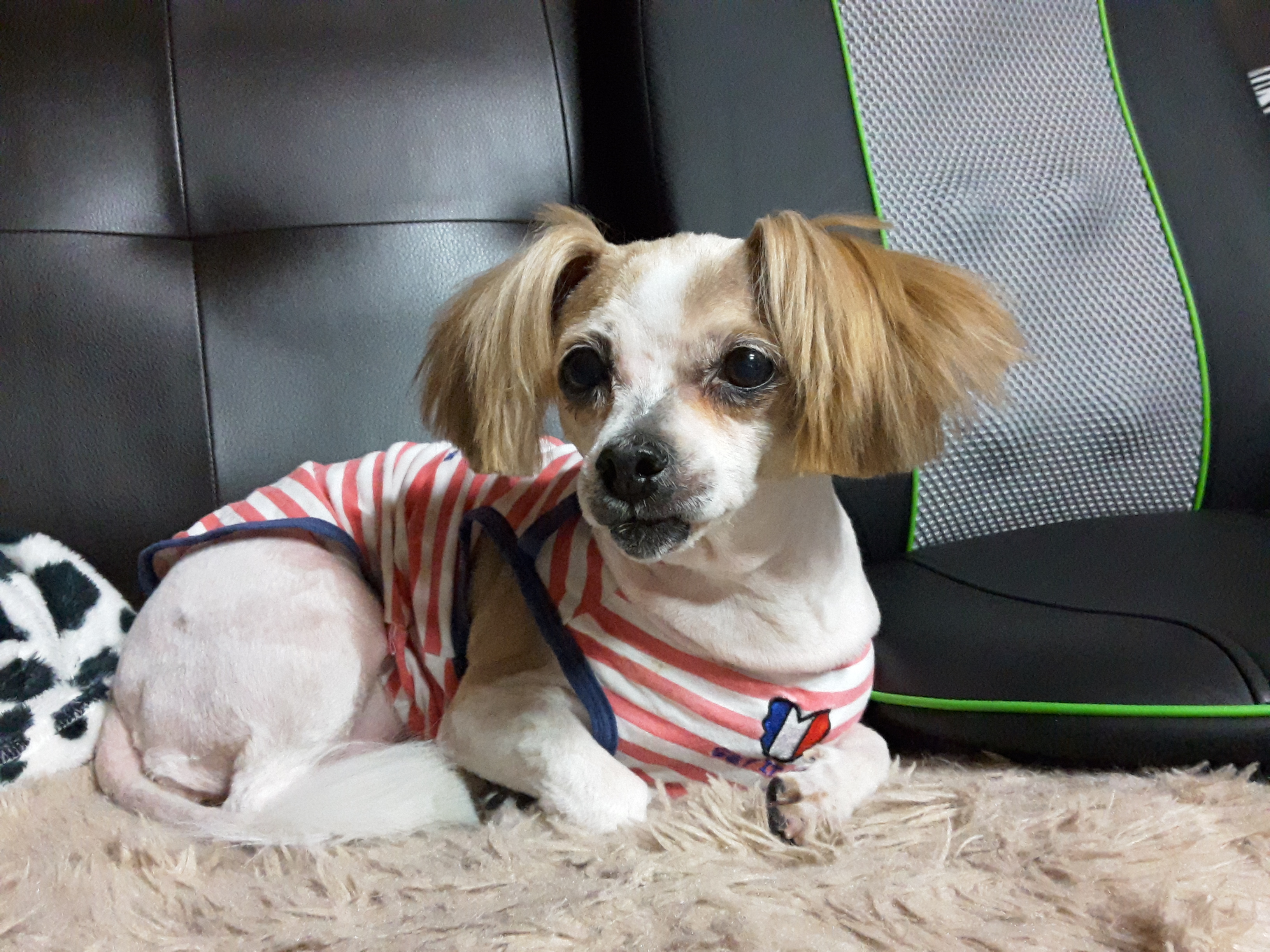 모야 후기남겨요~