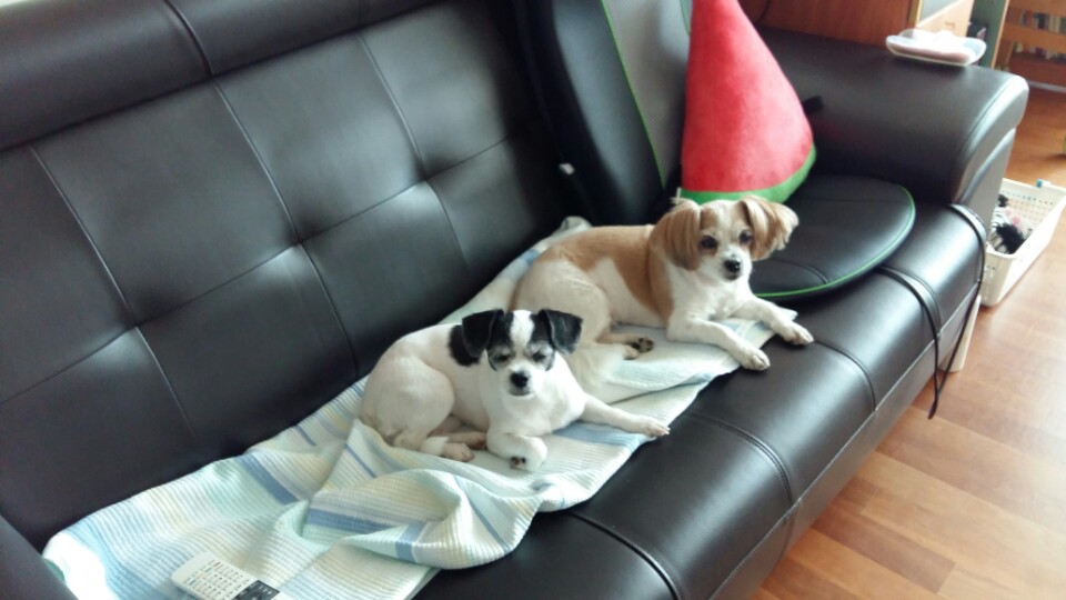 모야 후기남겨요~