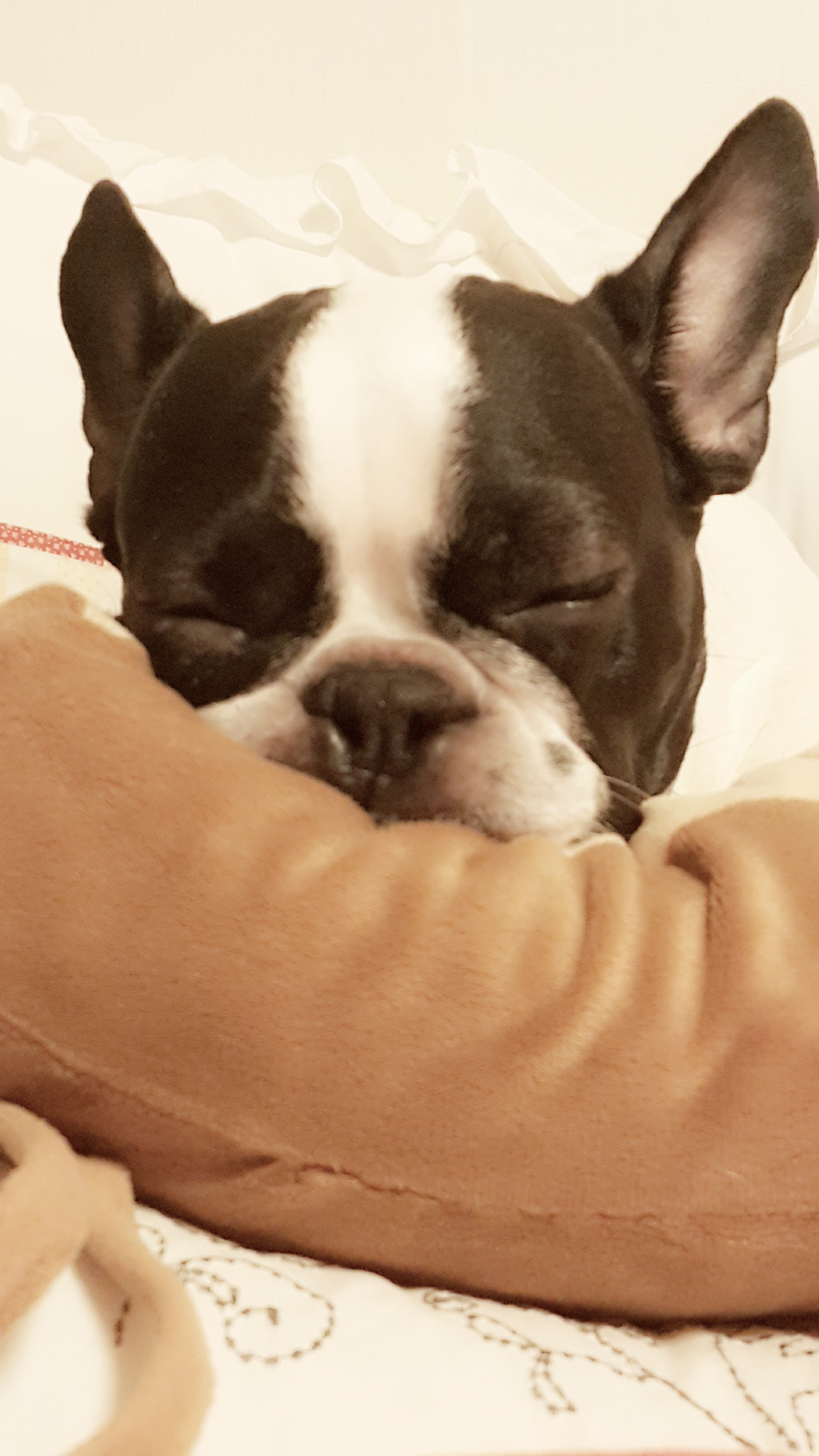 우리 아기들 소개드려요