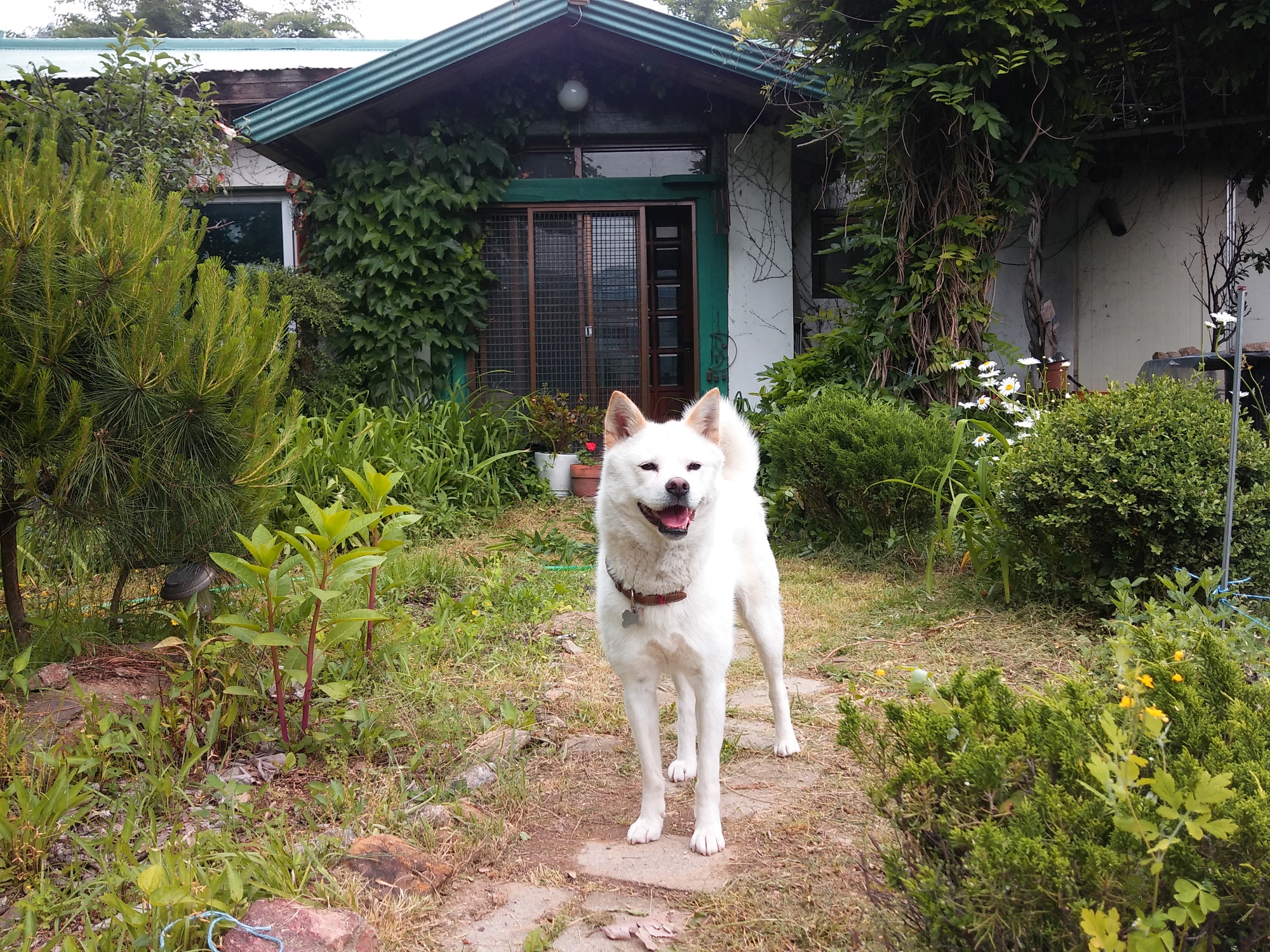 은비는...전생에 공주였나봐요. 
