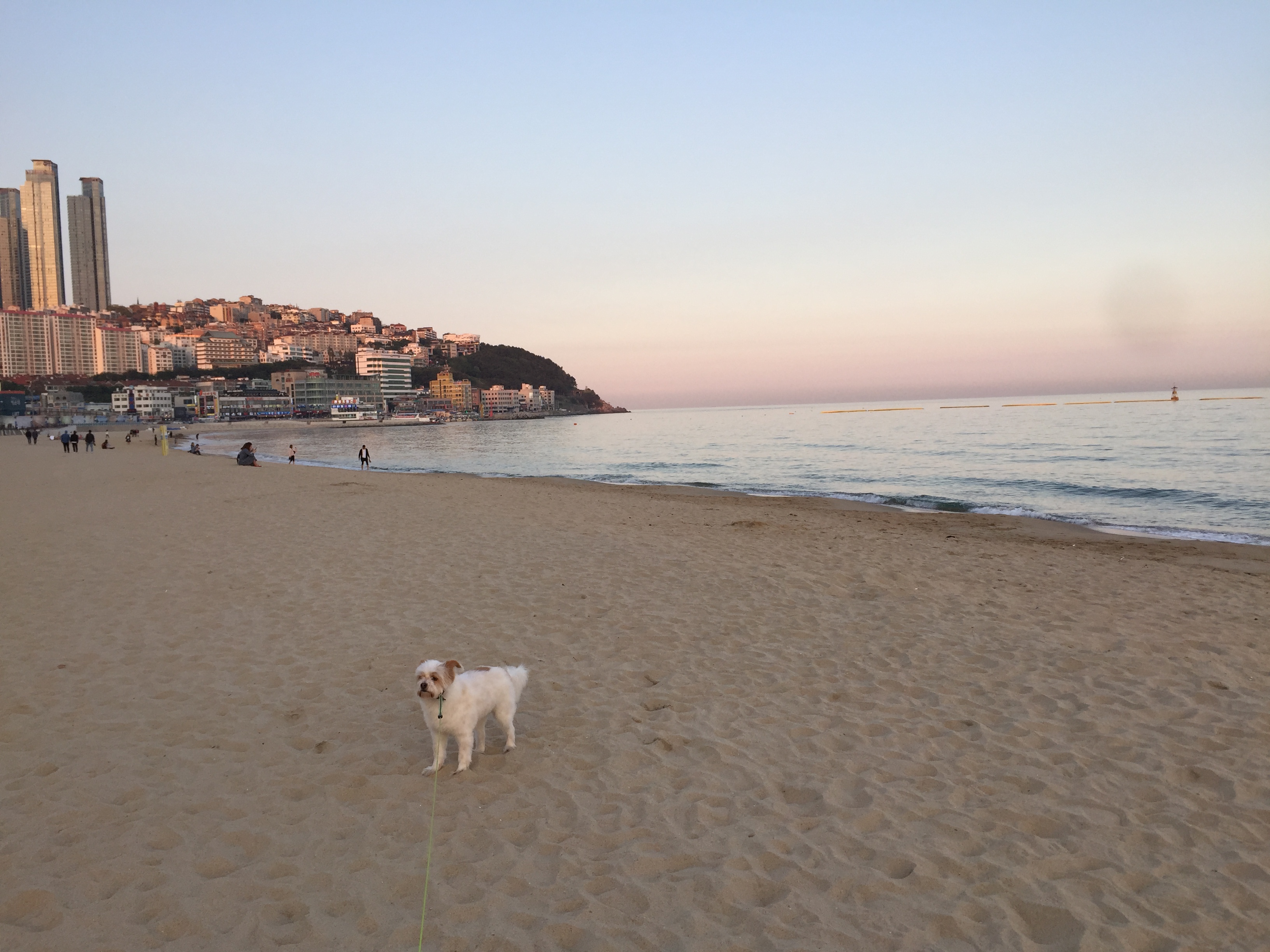 뚱여사는 이제 중년 ㅋㅋ