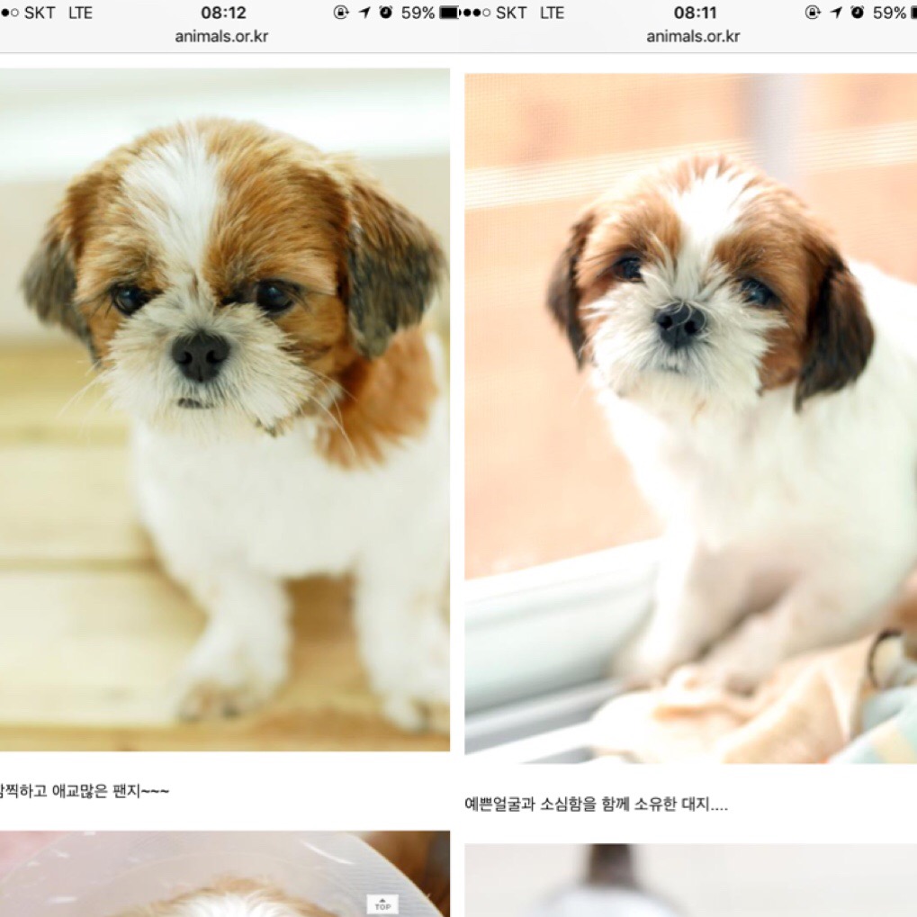 7개월 - 우리, 나라 before & after