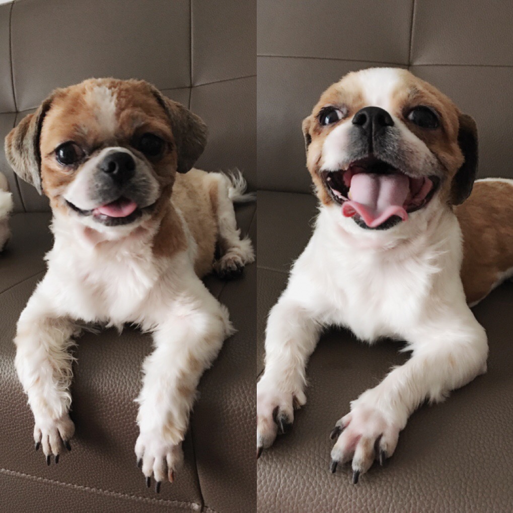 7개월 - 우리, 나라 before & after