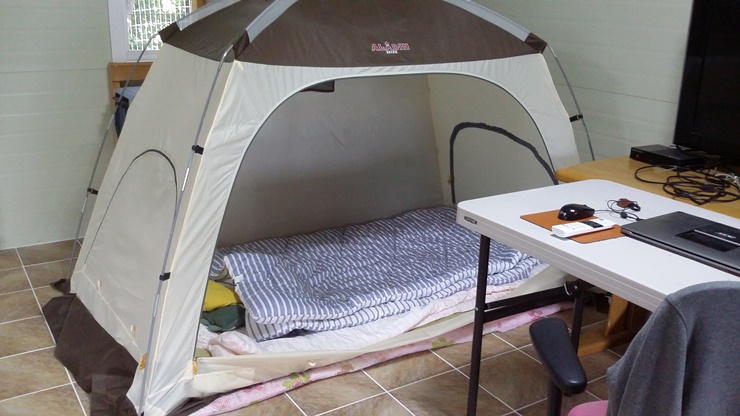 레이아가씨 근황입니다~~