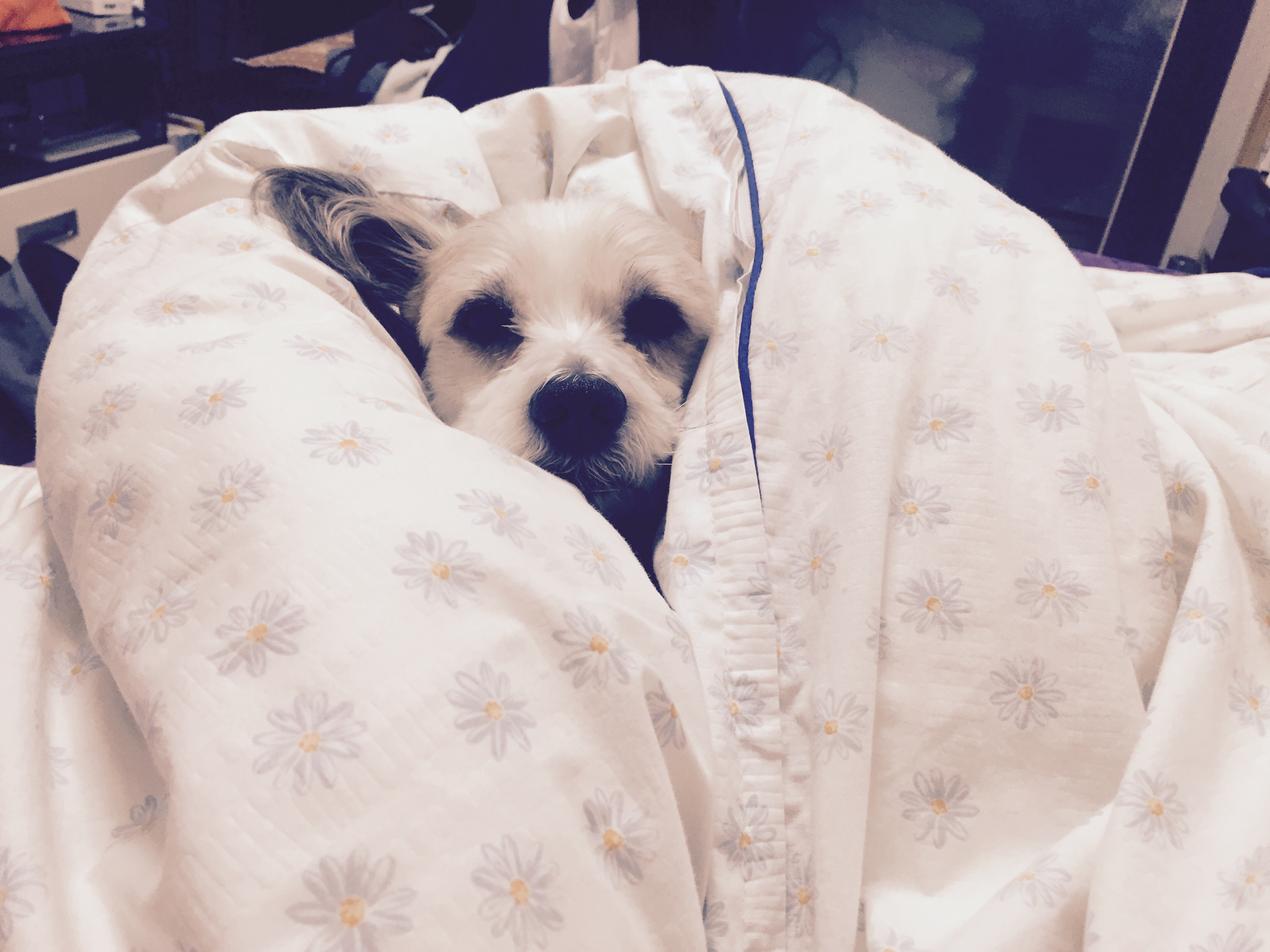 2년만에 열매 소식 전해요~~~~~~