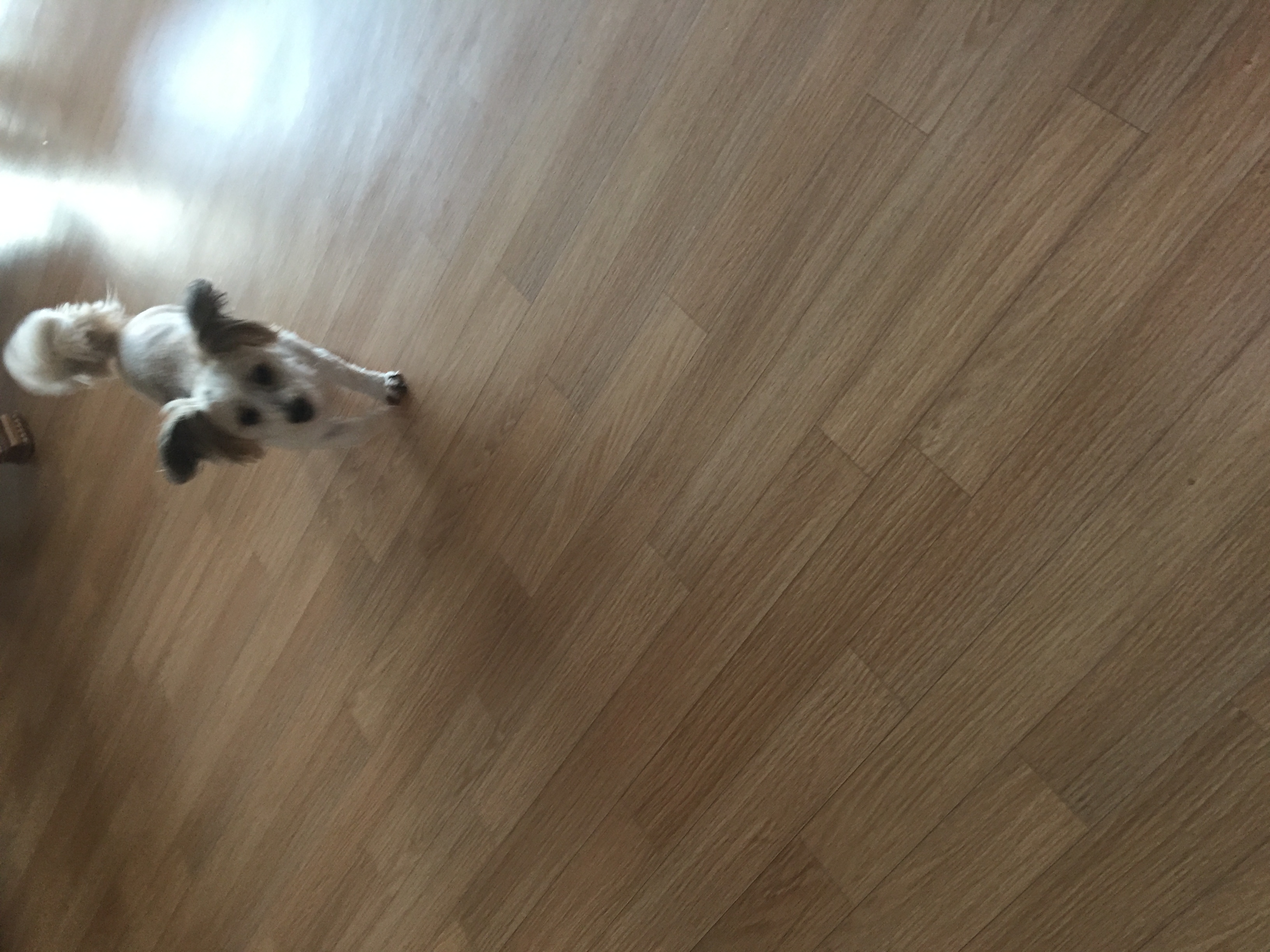 2년만에 열매 소식 전해요~~~~~~