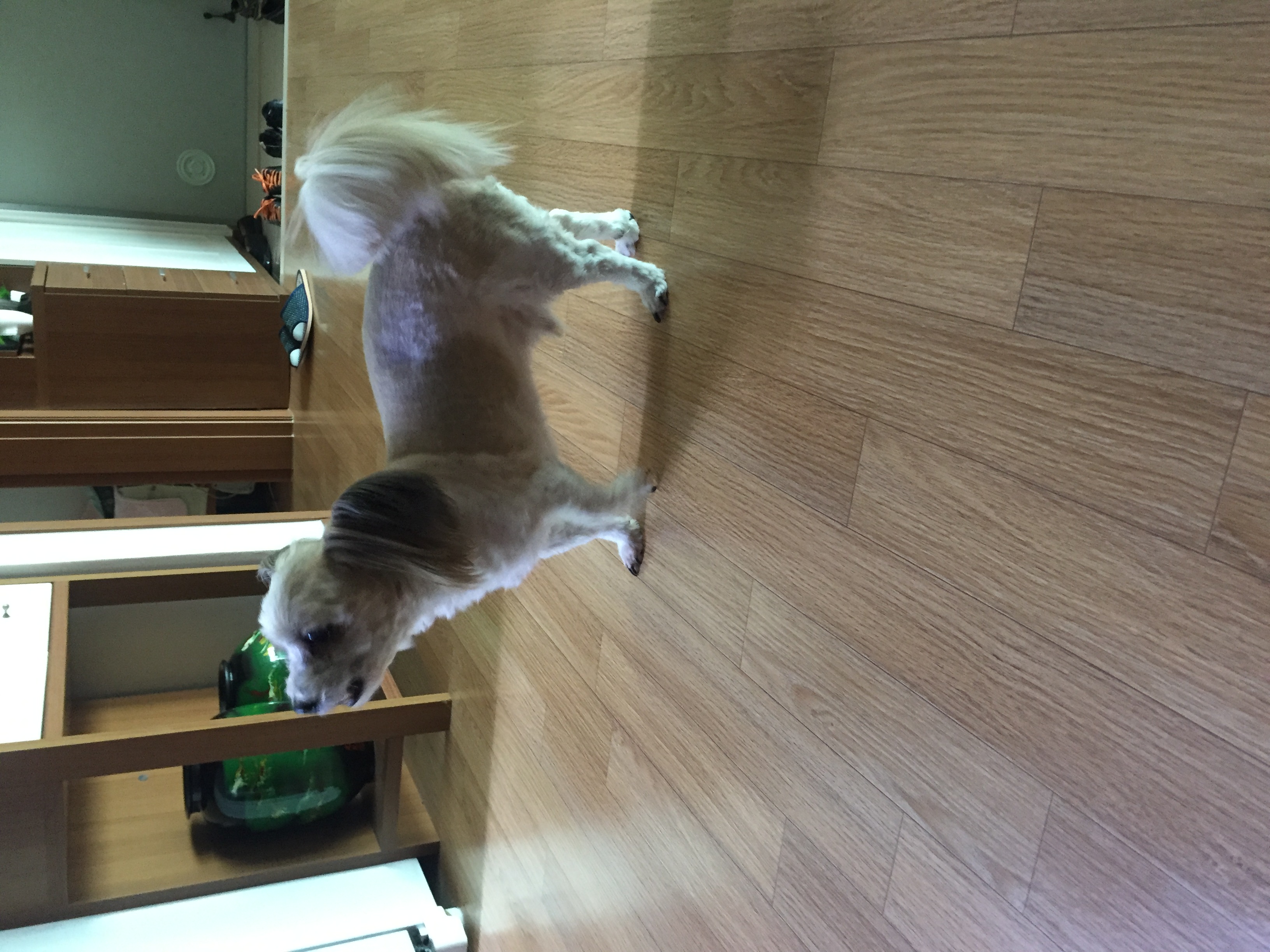 2년만에 열매 소식 전해요~~~~~~