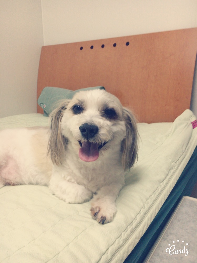 2년만에 열매 소식 전해요~~~~~~