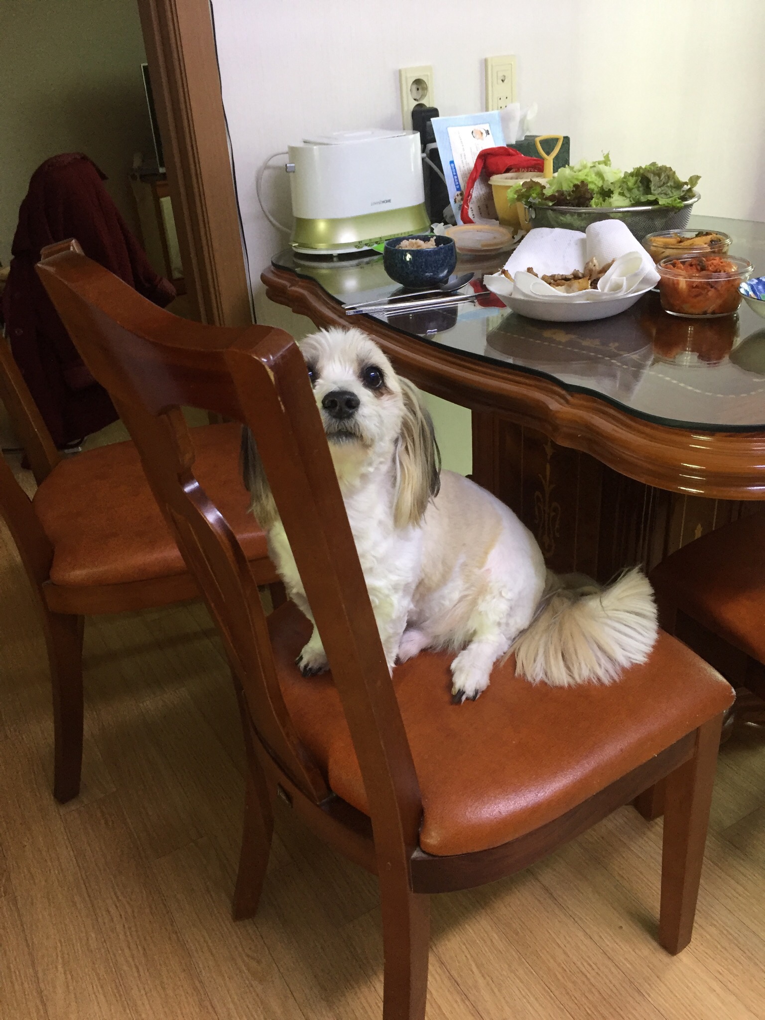 2년만에 열매 소식 전해요~~~~~~