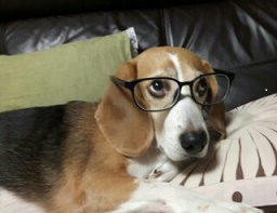 안녕하세요 해리예요 ^^