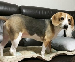 안녕하세요 해리예요 ^^