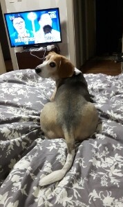 안녕하세요 해리예요 ^^