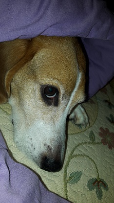 안녕하세요 해리예요 ^^