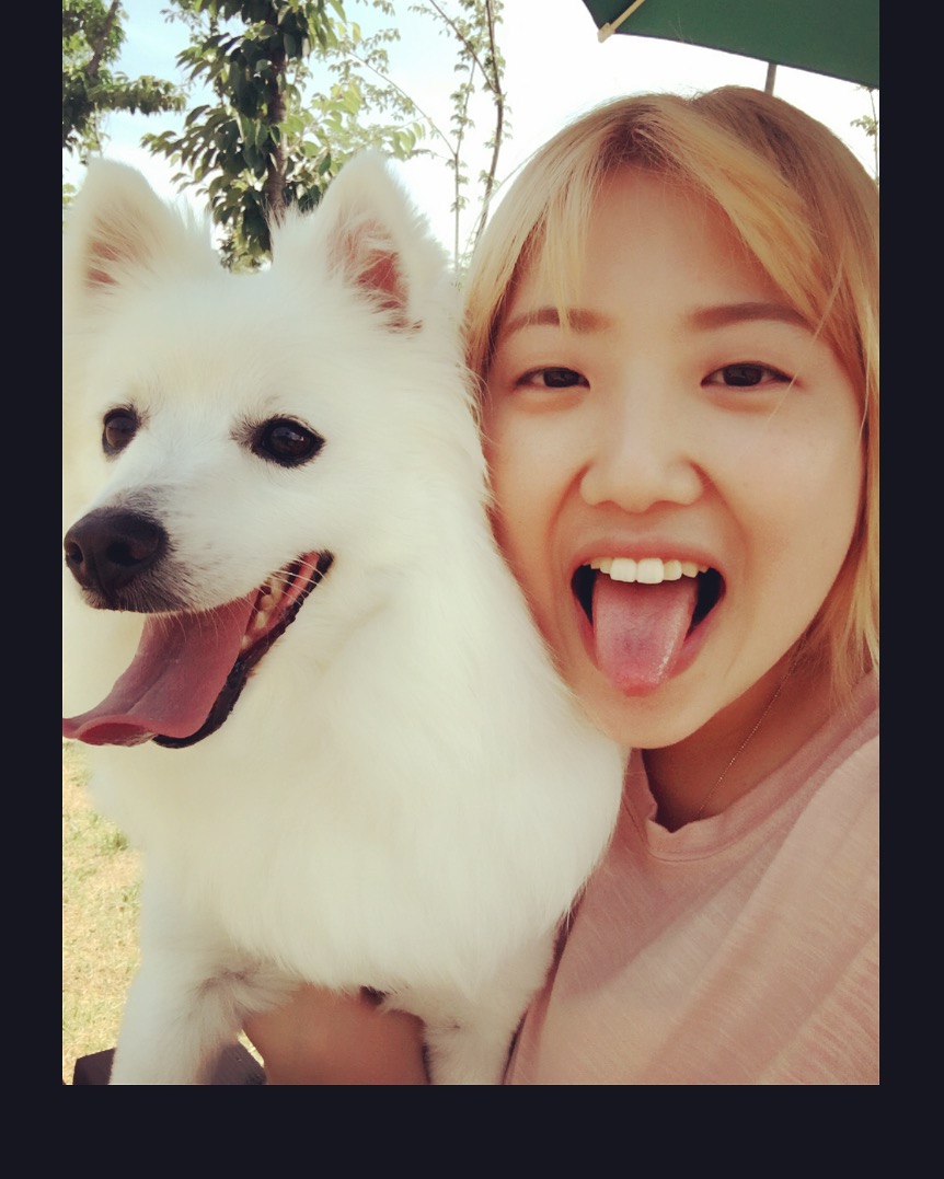 잘생긴 토토 자랑 하고싶어욧!!