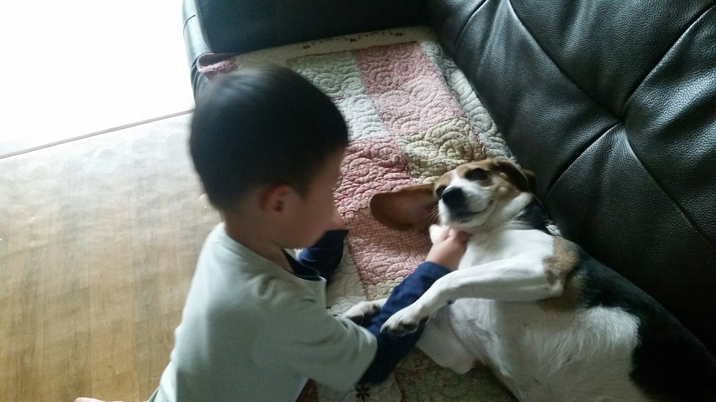 오랫만에 미키(루키아) 인사드려요~