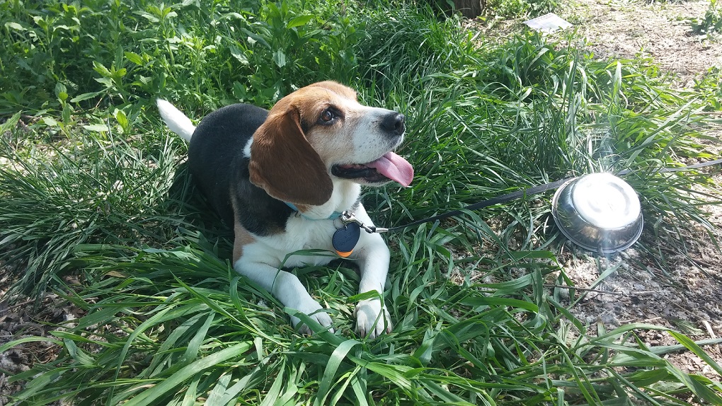오랫만에 미키(루키아) 인사드려요~
