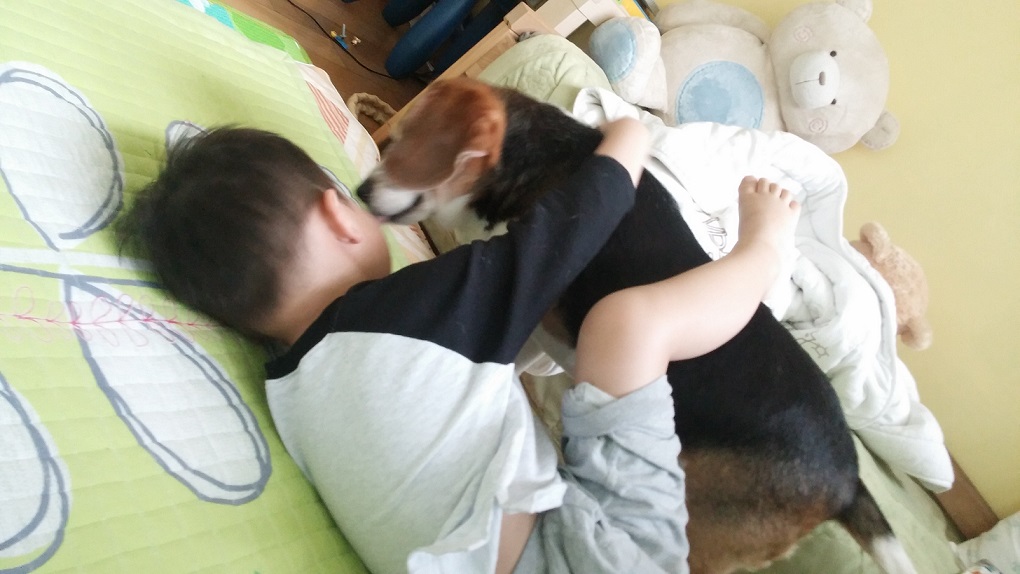 오랫만에 미키(루키아) 인사드려요~