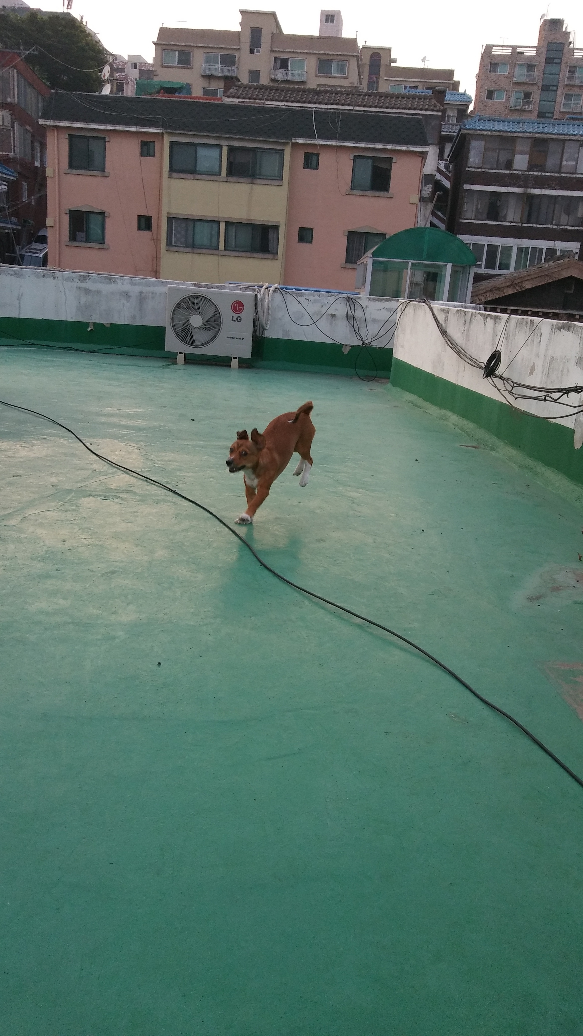 우리 가족 사랑이~