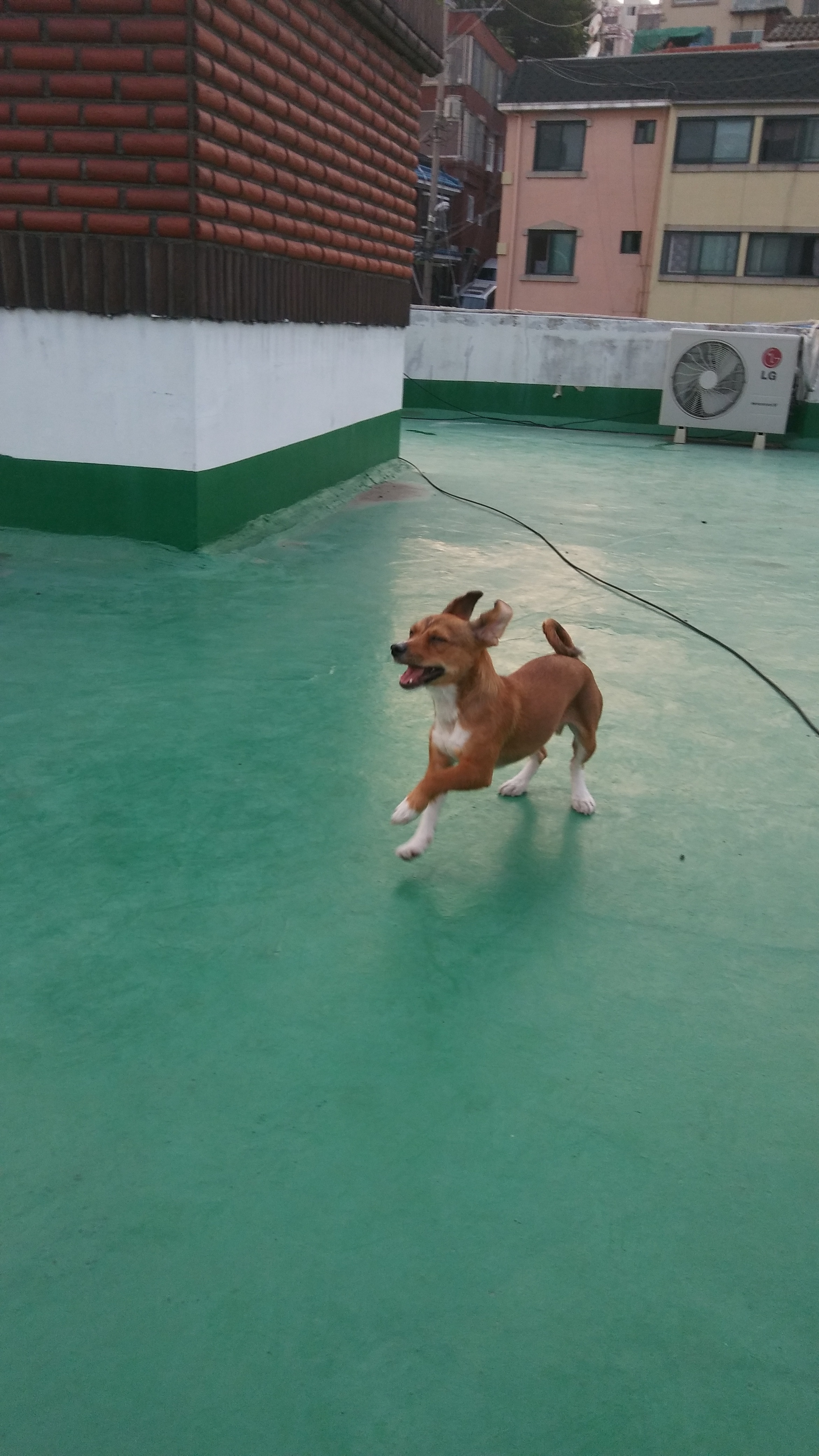 우리 가족 사랑이~