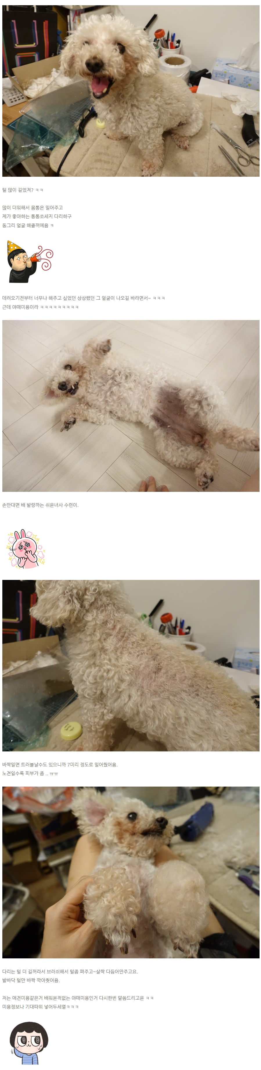 하루가 다르게 미모 포텐터지고 있는 수련이