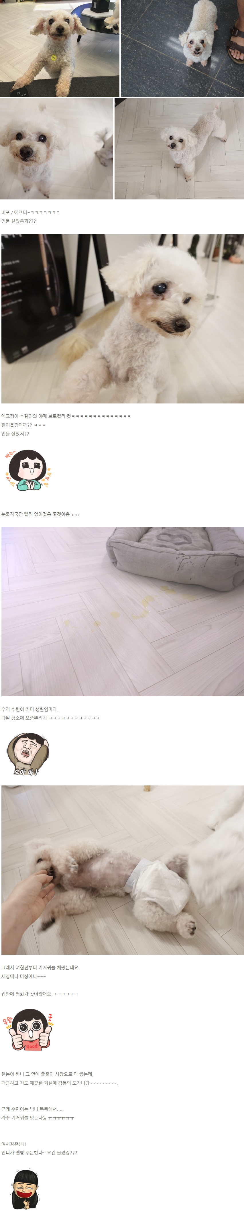 하루가 다르게 미모 포텐터지고 있는 수련이