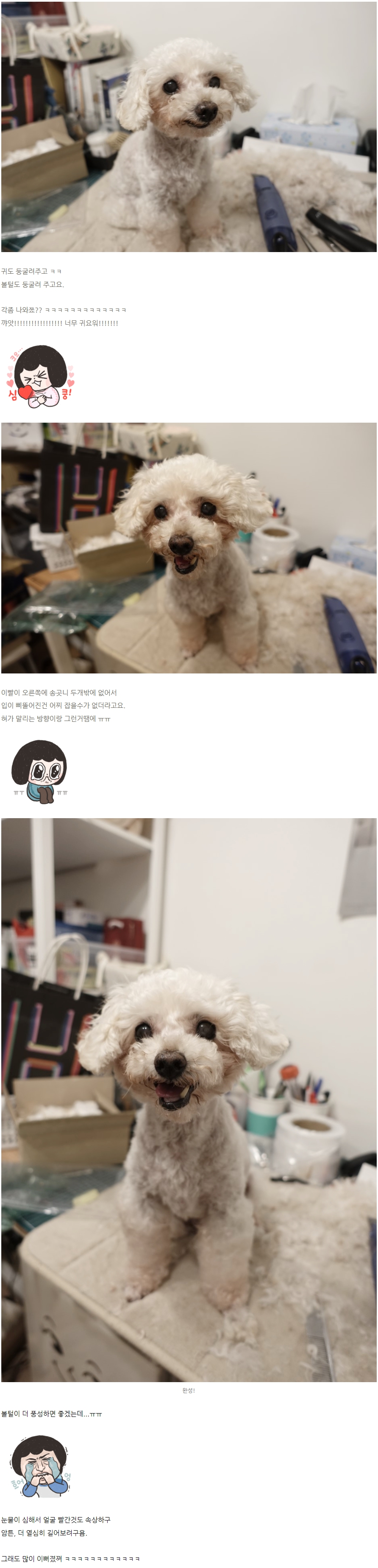 하루가 다르게 미모 포텐터지고 있는 수련이