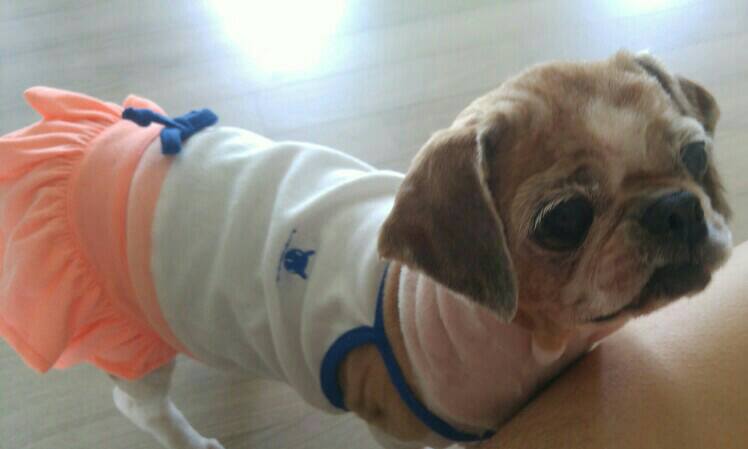 코이(감자) 2번째 후기입니다~