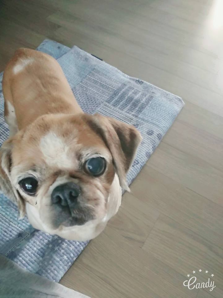 코이(감자) 2번째 후기입니다~