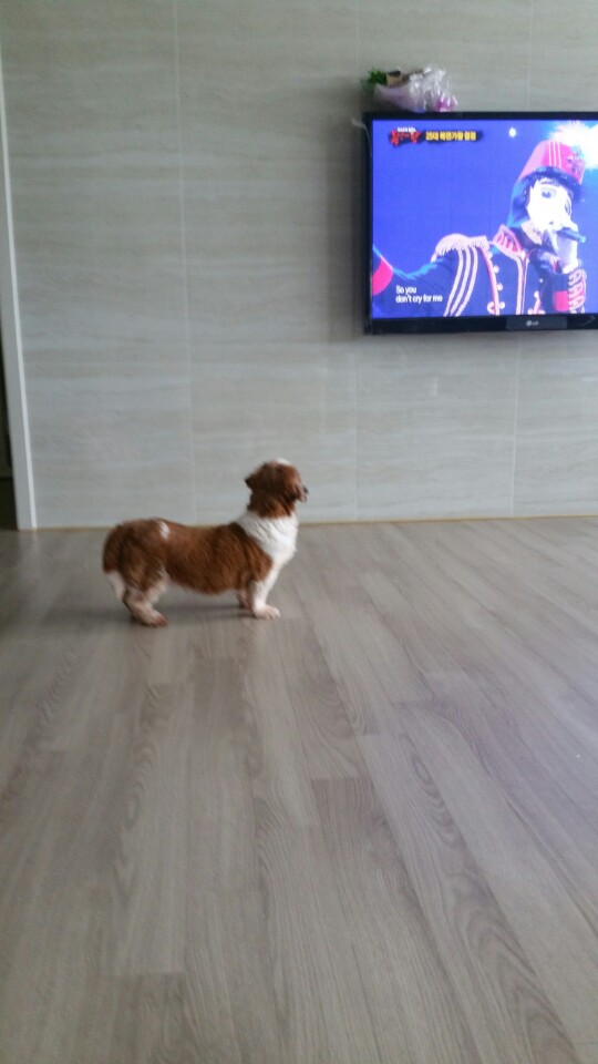 코이(감자) 2번째 후기입니다~