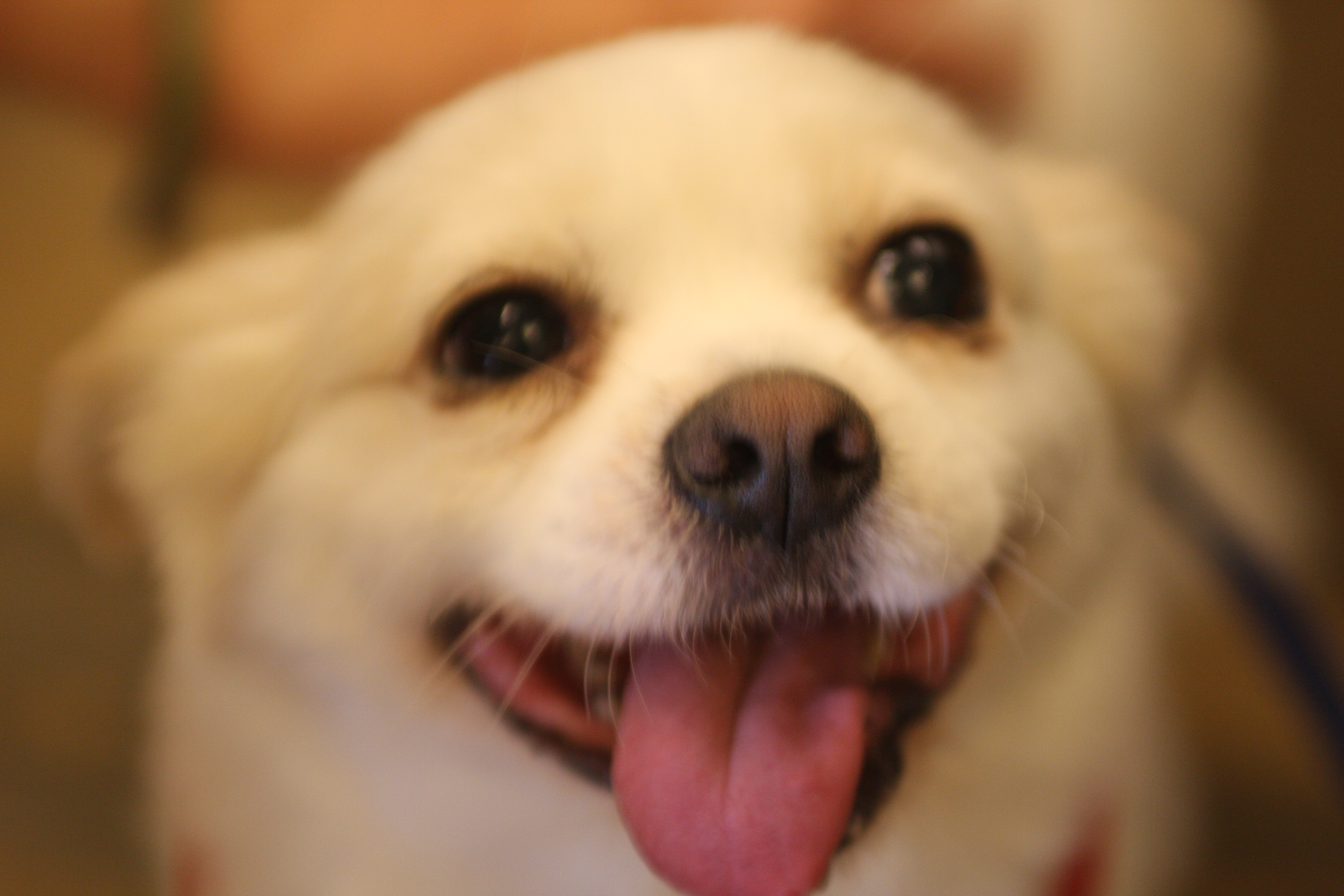 오랫만에 셔리 인사드려요^^