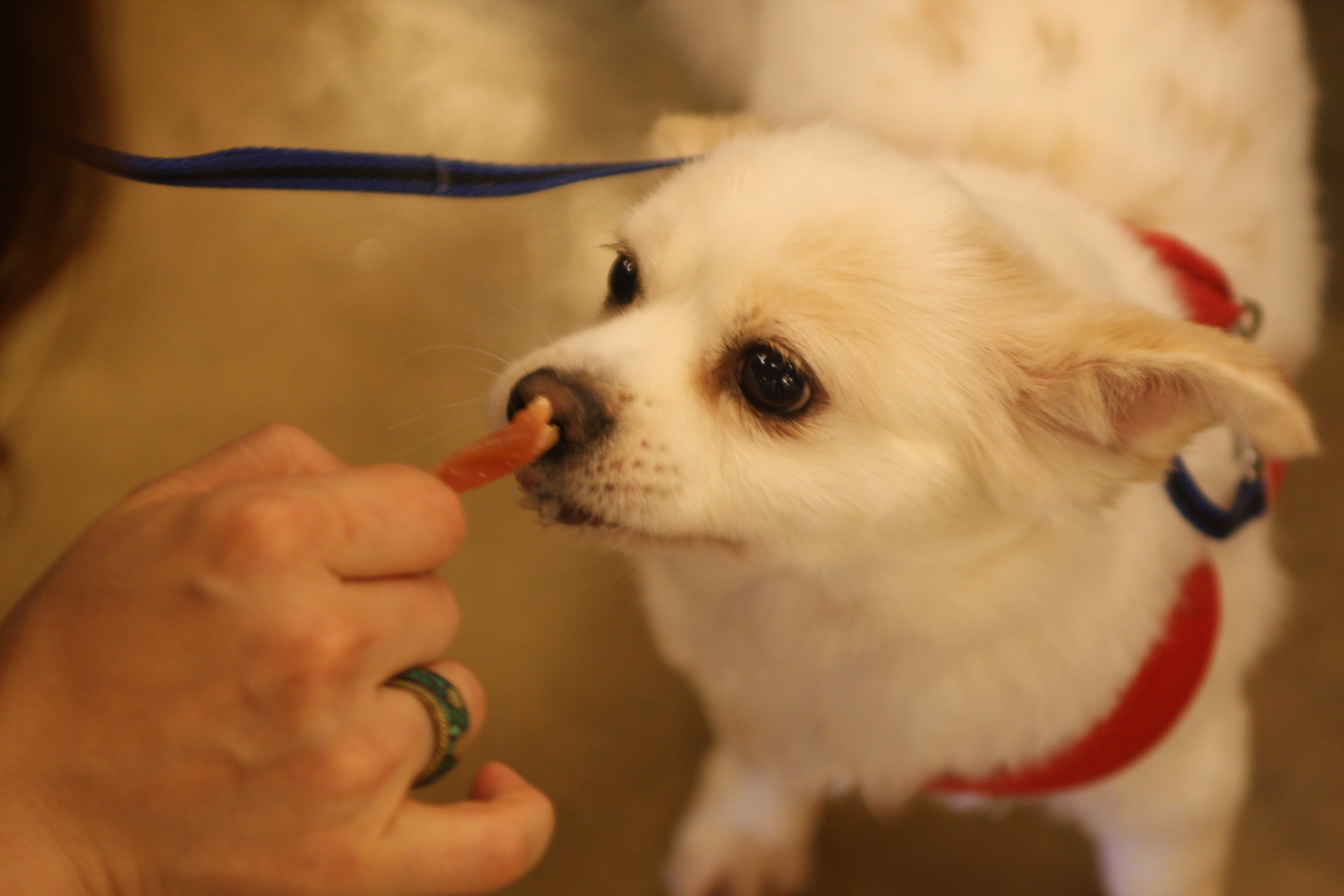오랫만에 셔리 인사드려요^^
