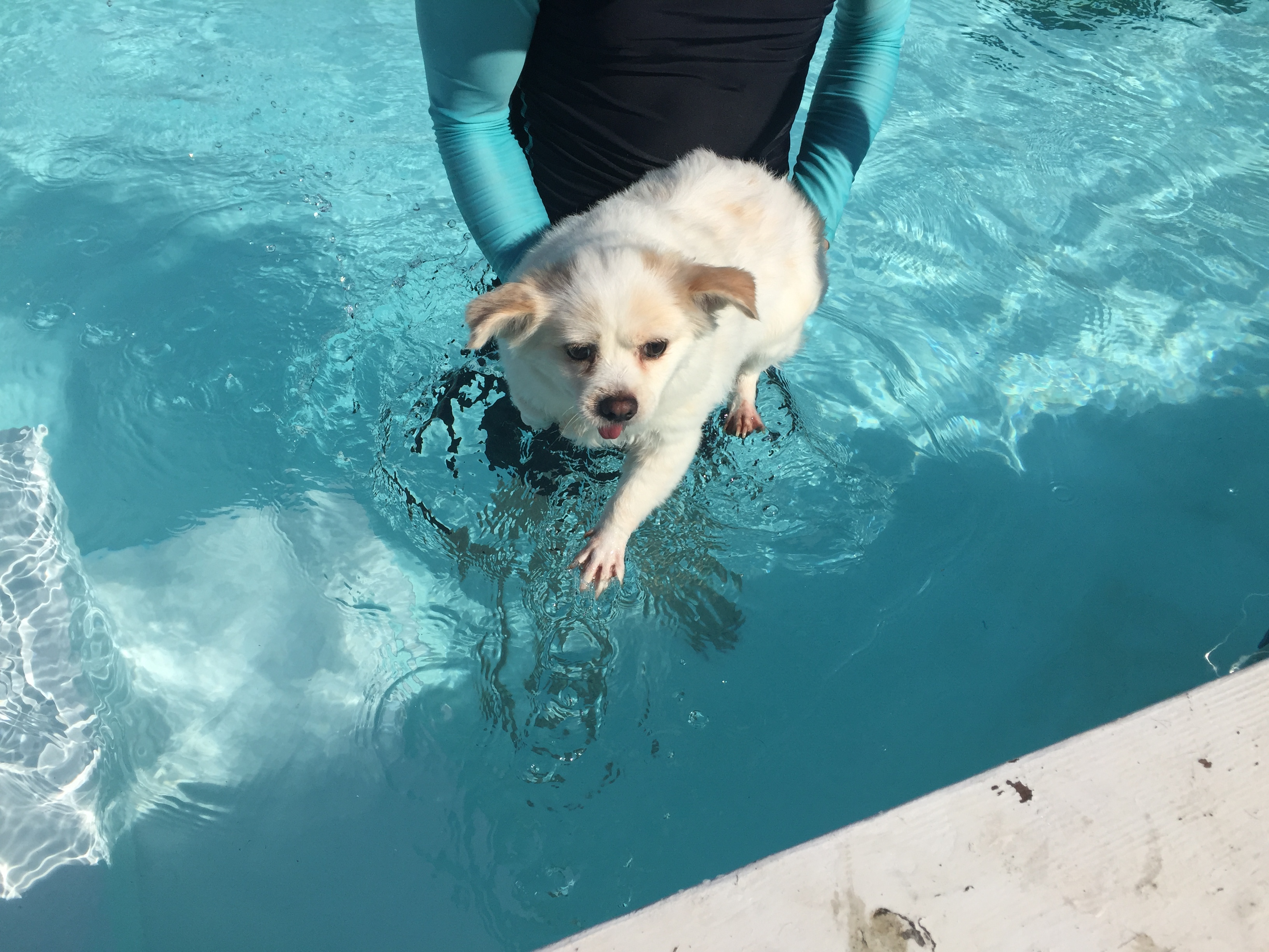 오랫만에 쓰려니, 그간 너무 예쁜 사진들이 많아서 ㅎㅎ 2탄!!