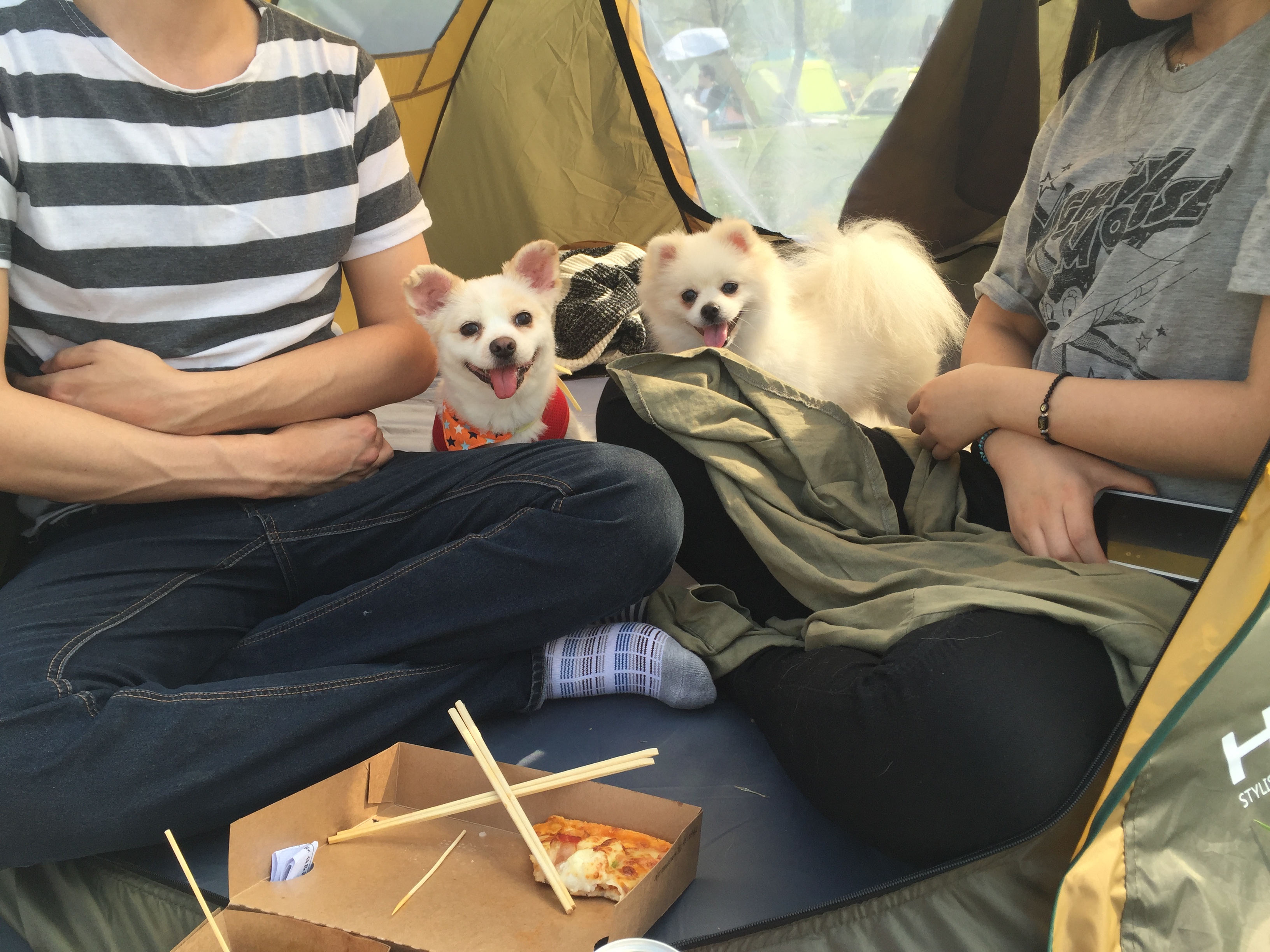 오랫만에 쓰려니, 그간 너무 예쁜 사진들이 많아서 ㅎㅎ 2탄!!