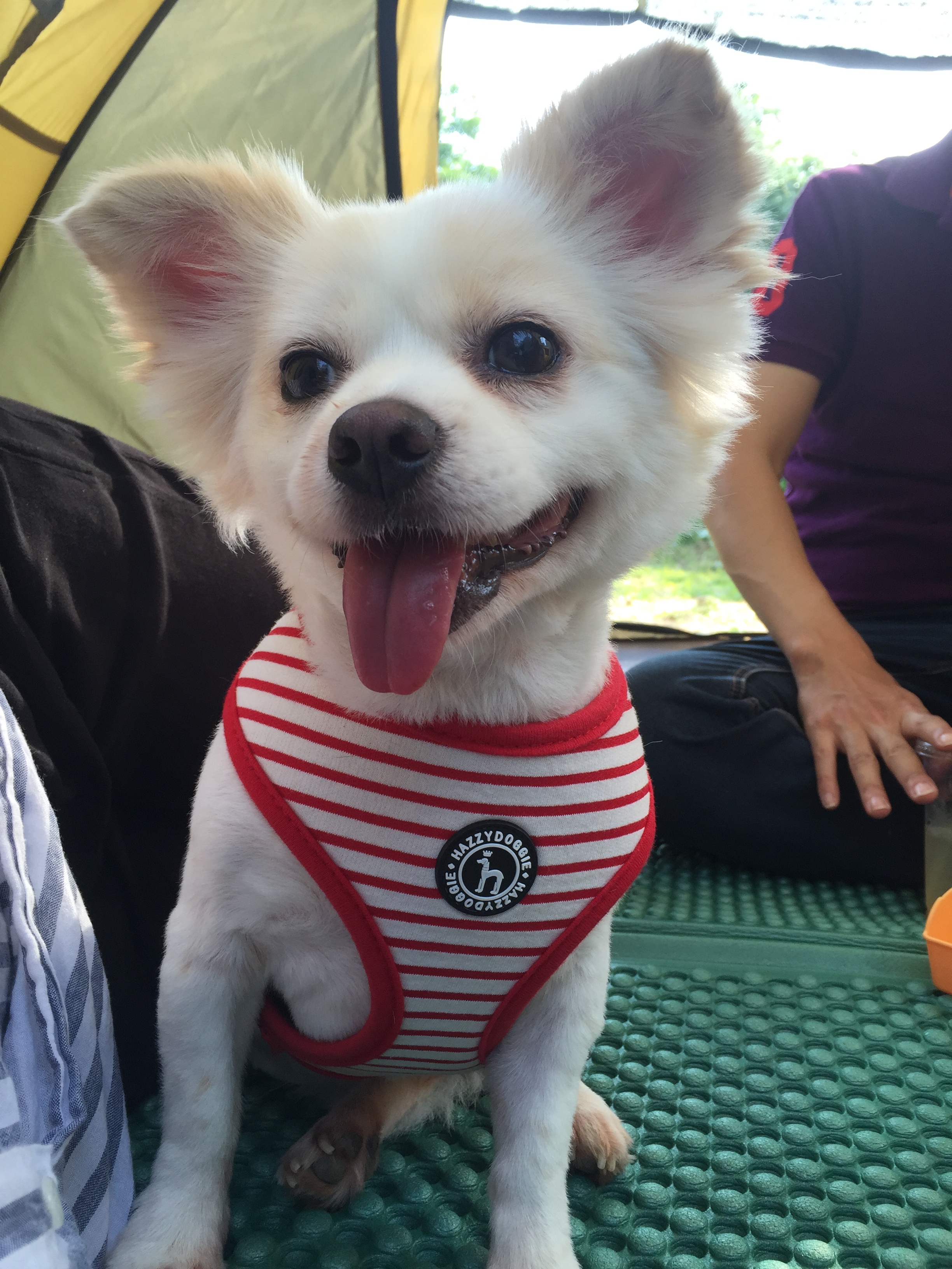 오랫만에 쓰려니, 그간 너무 예쁜 사진들이 많아서 ㅎㅎ 2탄!!