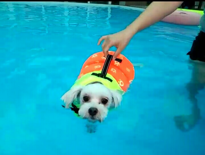 달콩(홍당무)이가 석달이 되었네요