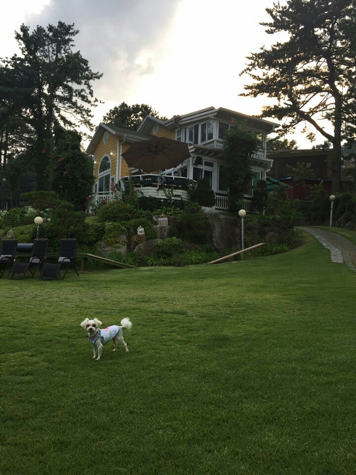 달콩(홍당무)이가 석달이 되었네요