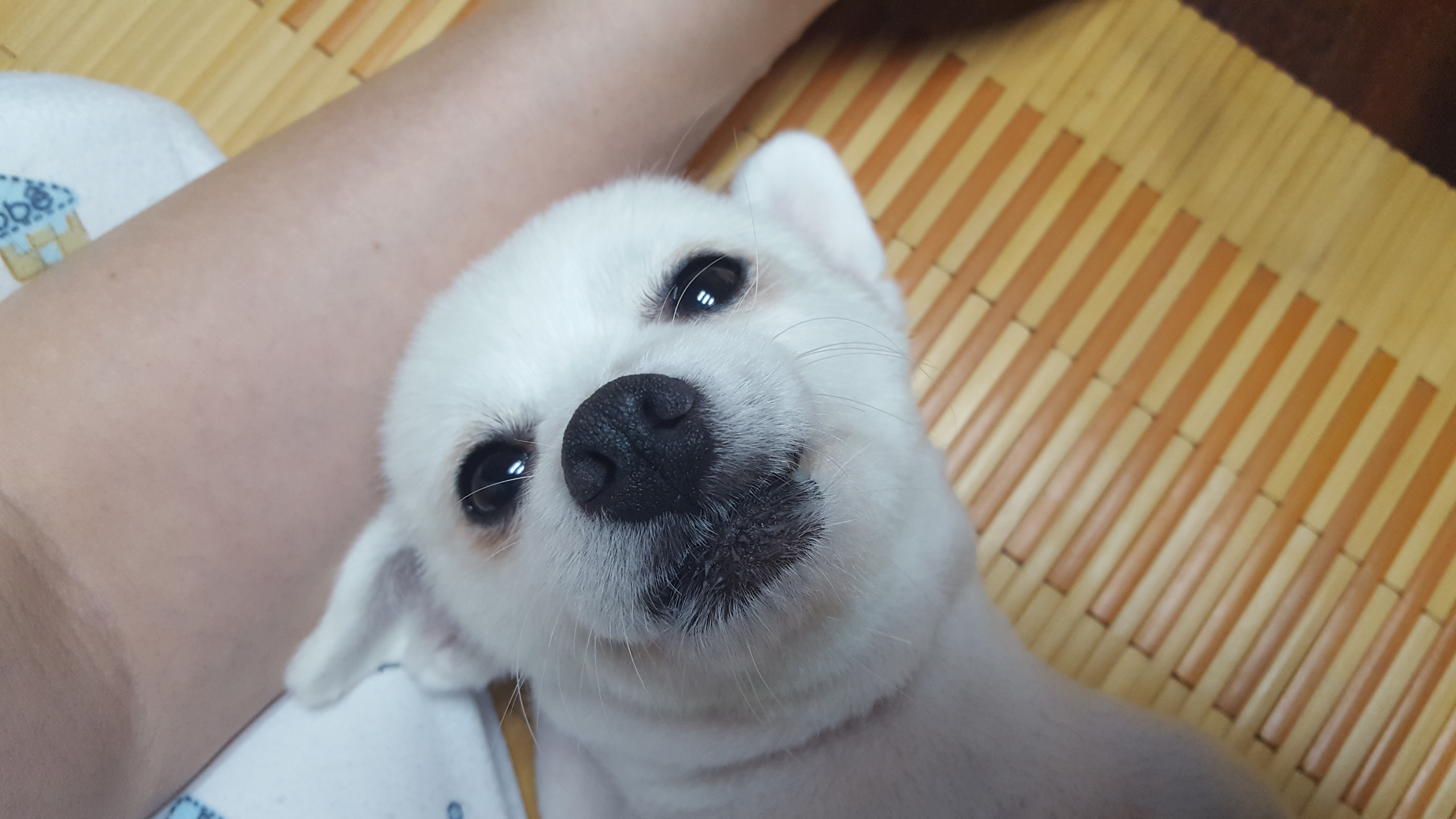 햇살이 사진 올립니다