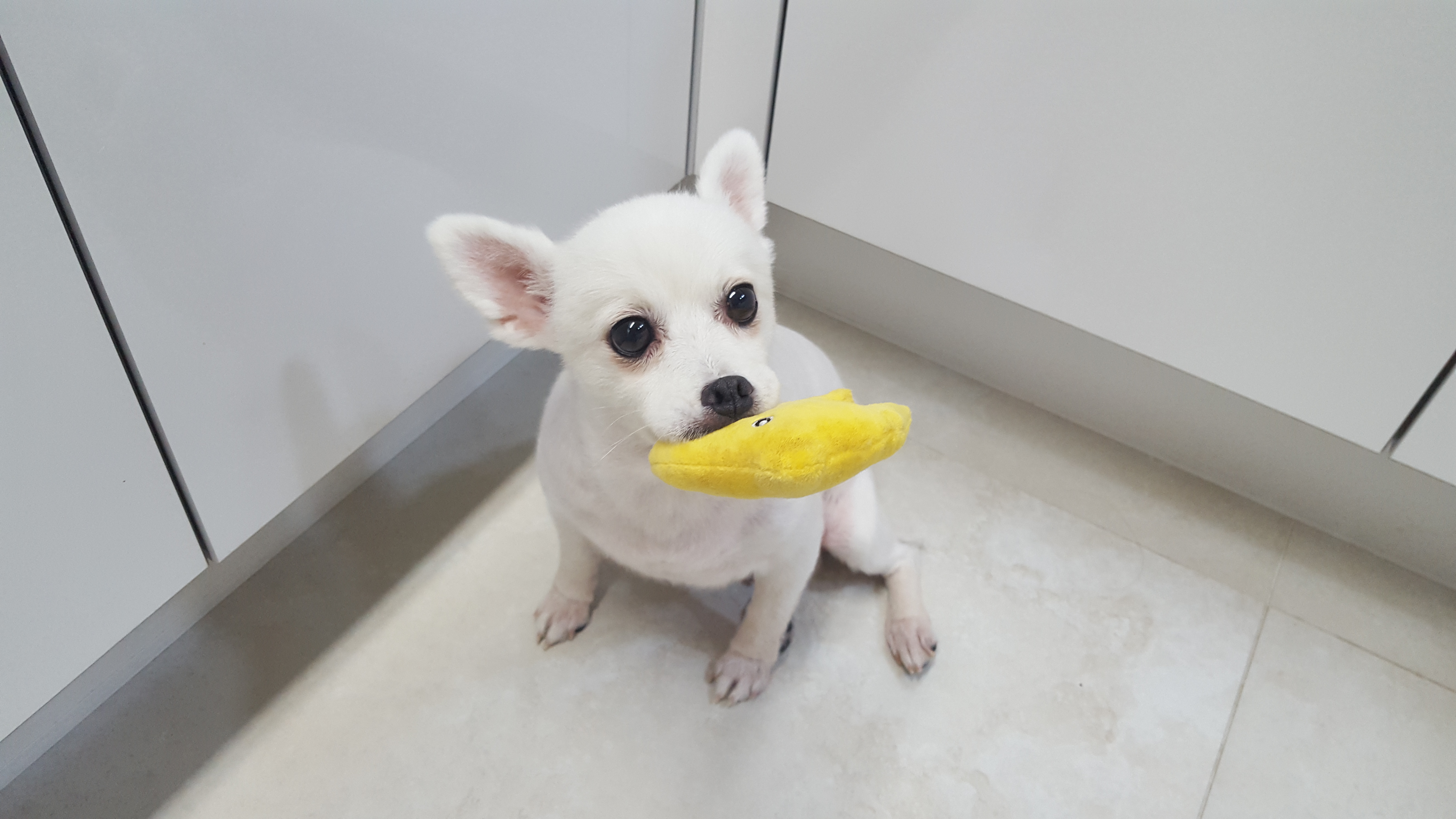 햇살이 사진 올립니다