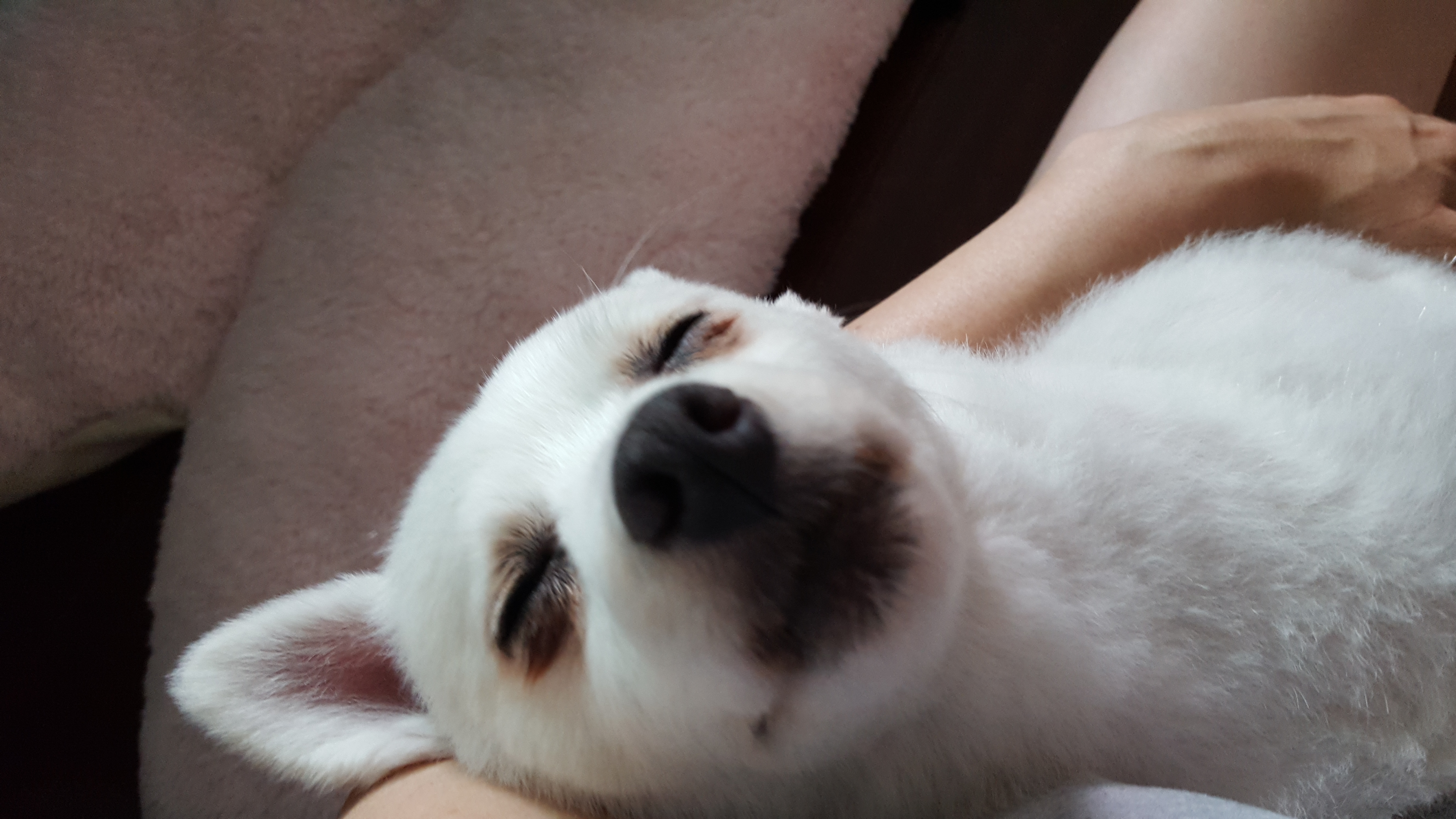 햇살이 사진 올립니다