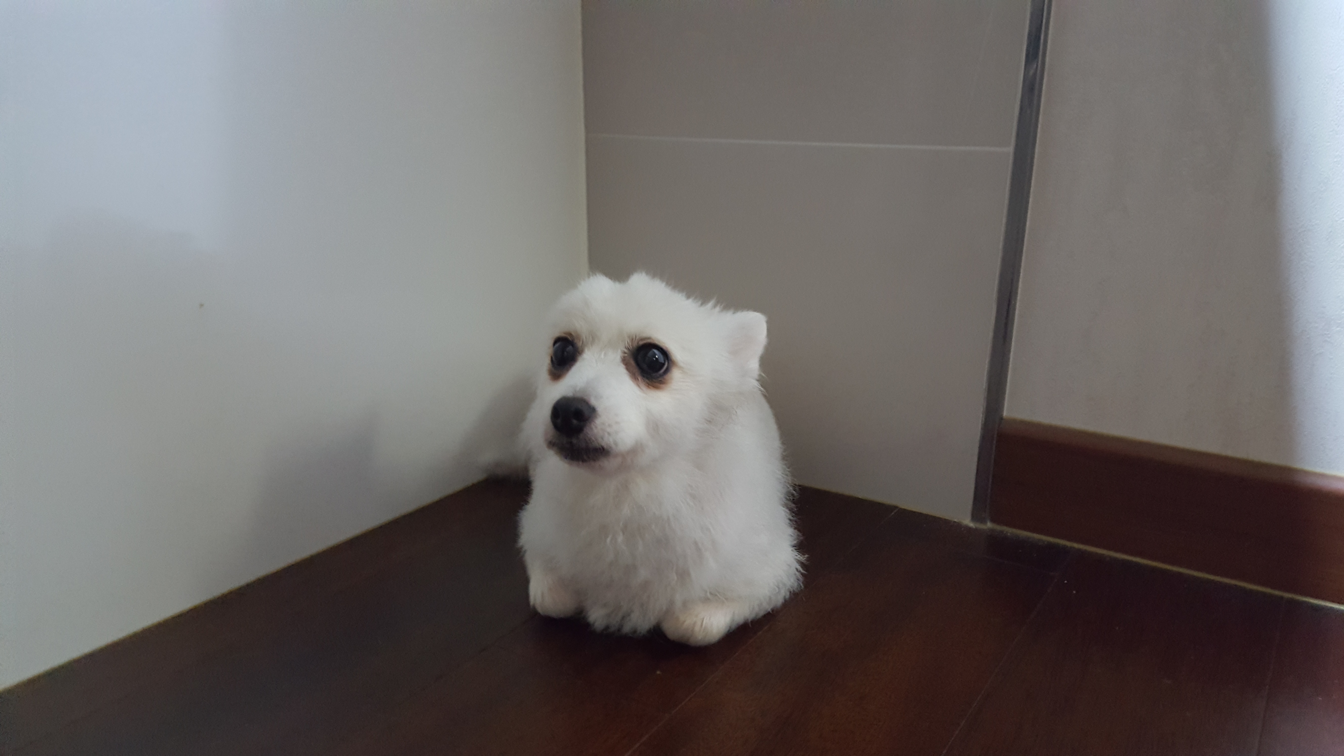 햇살이 사진 올립니다