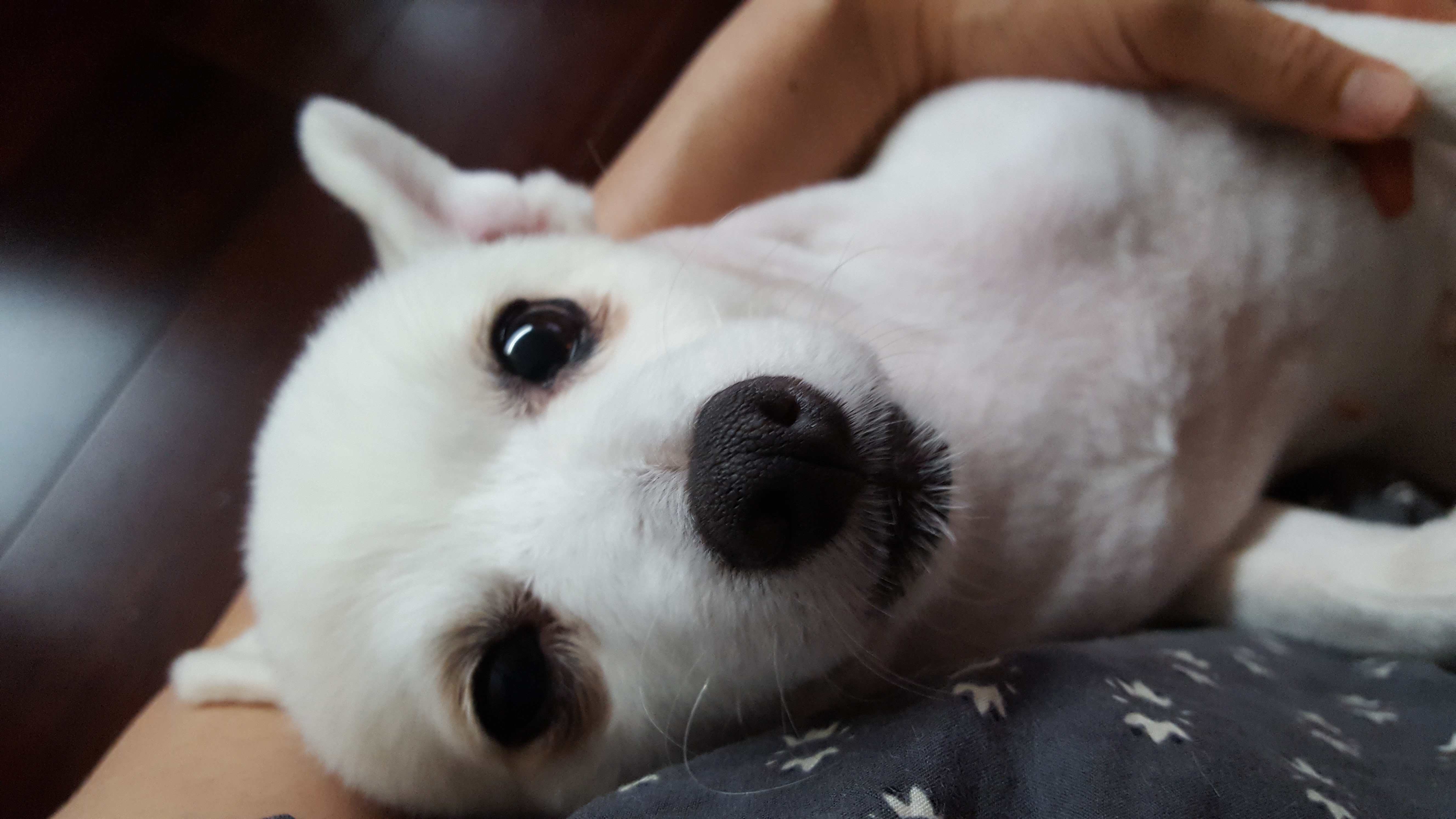 햇살이 사진 올립니다