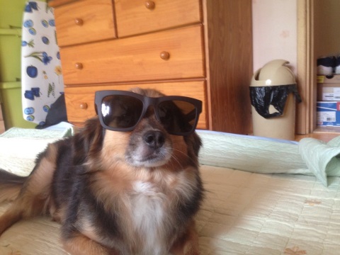 정왕이의 세상 탐방기