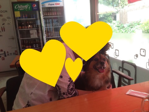 정왕이의 세상 탐방기