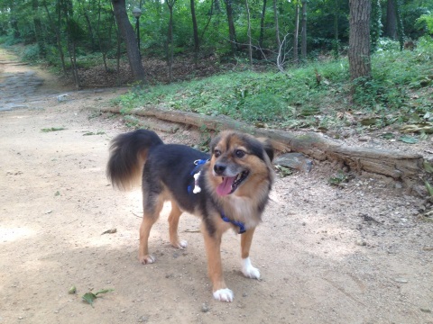 정왕이의 세상 탐방기